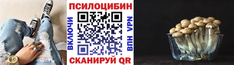 hydra вход  магазин    Горнозаводск  Галлюциногенные грибы GOLDEN TEACHER 